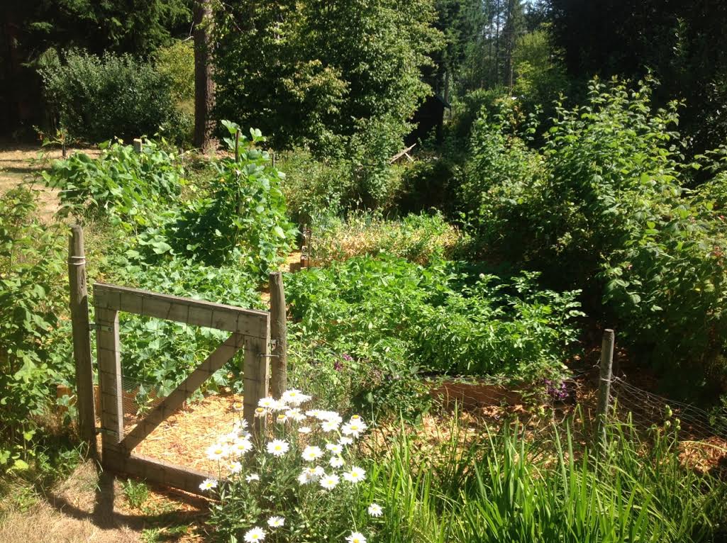 Mavis Mail – Heidi From Vancouver Island Sends in Garden Photos