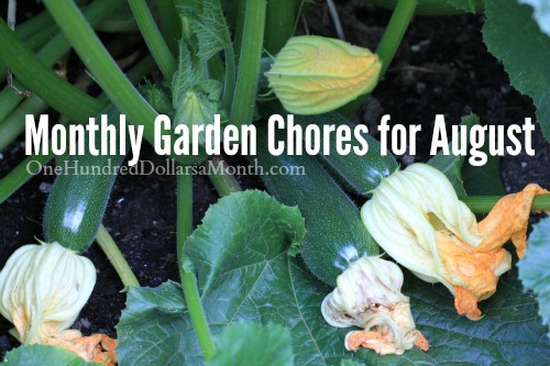 Monthly Garden Chores for August