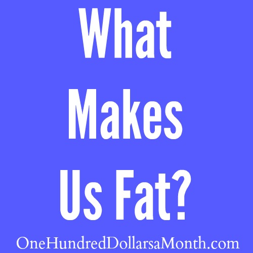 What Makes Us Fat?