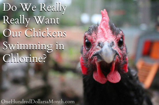 Do We Really Really Want Our Chickens Swimming in Chlorine?