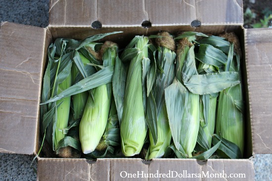 Apples and Corn… Bring it On!