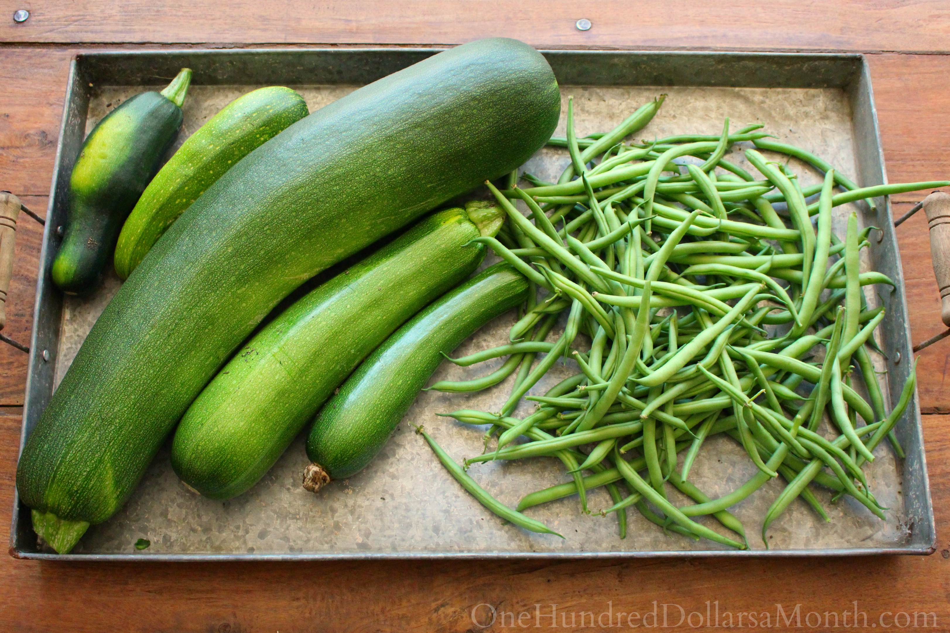 What Am I Suppose to do With All This Zucchini?