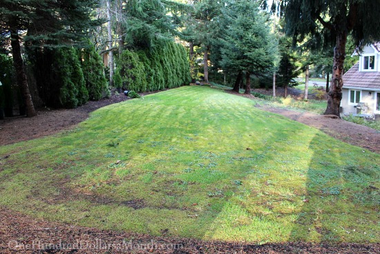 Mavis Garden Blog – Mapping Out My 2015 Garden