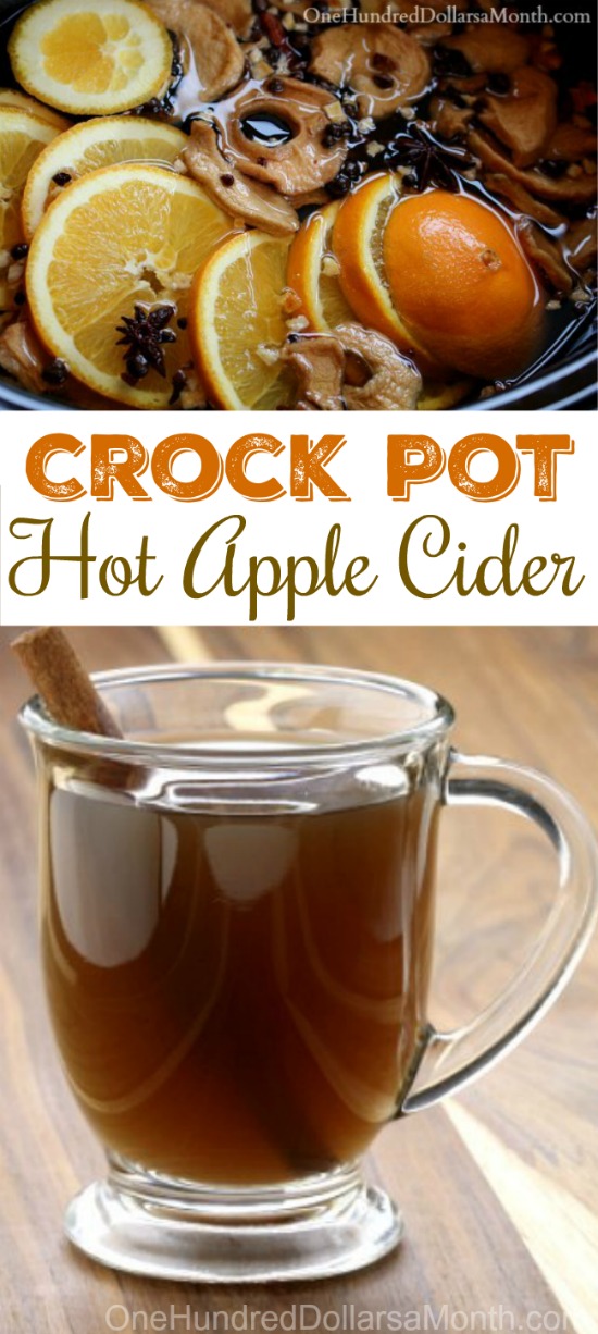 Crock Pot Hot Apple Cider Recipe