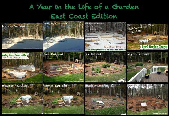 Monthly Garden Chores for December – East Coast Edition