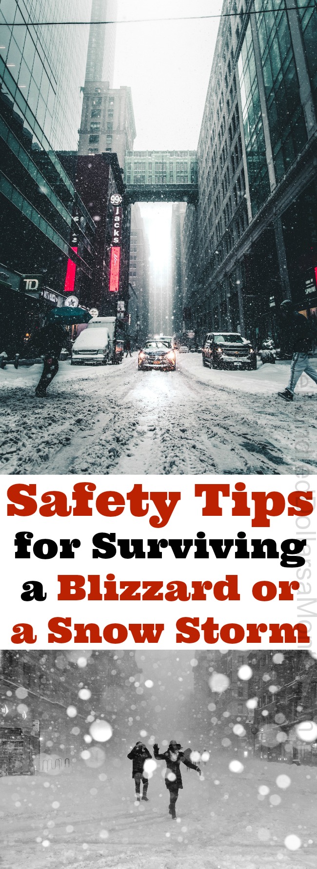 Safety Tips for Surviving a Blizzard or a Snow Storm