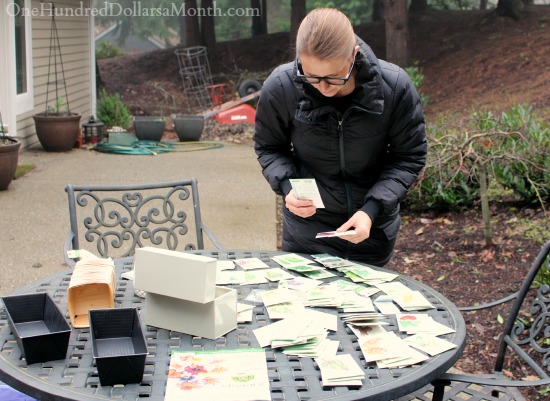 Mavis Garden Blog – Organizing Seed Packets and Waiting for Warmer Weather