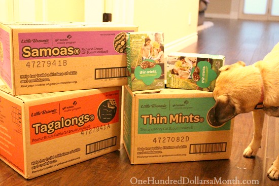 Giveaway – Enter to Win 1 of 3 Cases of Girl Scout Cookies