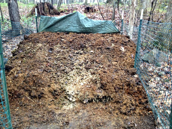 Composting 101: 5 Helpful Composting Tips