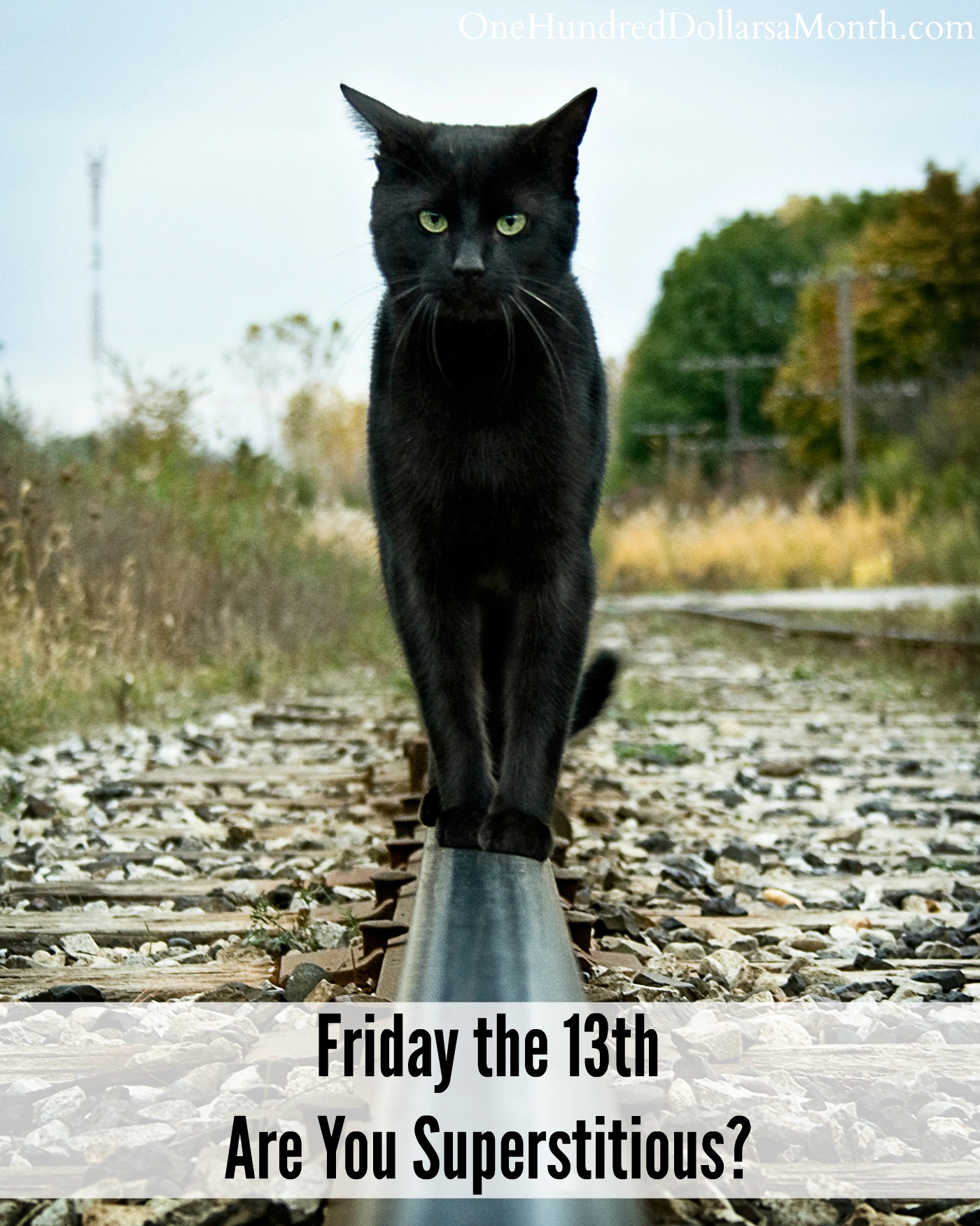 Friday the 13th – Are You Superstitious?