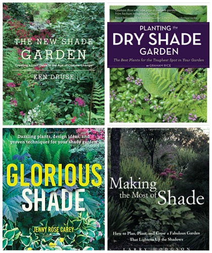 10 Shade Tolerant Perennials