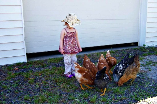 Mavis Mail – Becky From Upstate New York Sends in Pictures of Her Chicken Coop