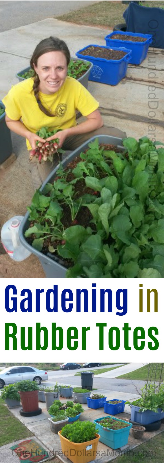 Christine From North Georgia Sends in Pictures of Her Container Garden