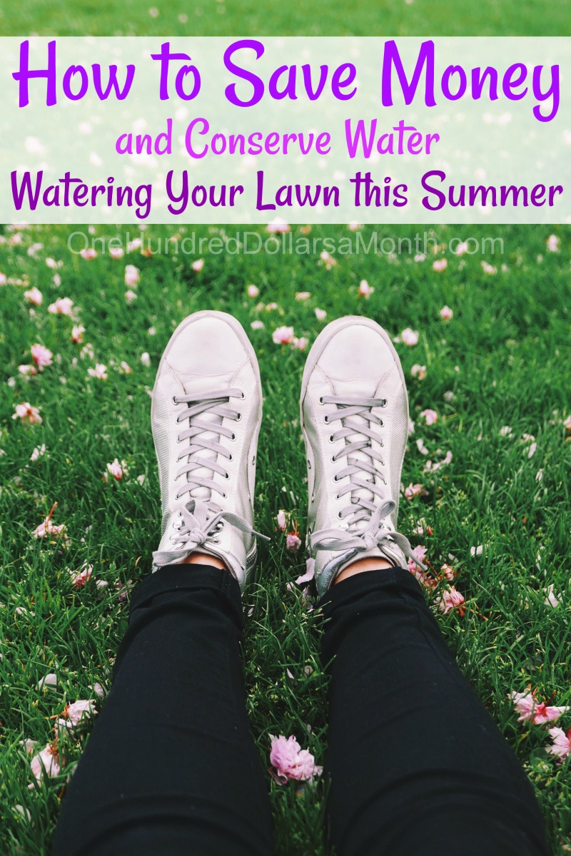 Lawn Watering Conservation Tips