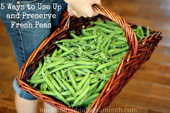 5 Ways to Use Up and Preserve Fresh Peas