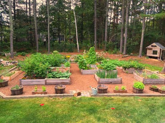 Mavis Mail – Heather From Massachusetts Sends in Her Backyard Garden Photos