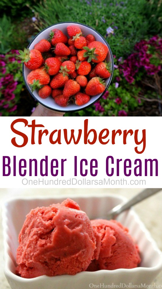 Strawberry Blender Ice Cream