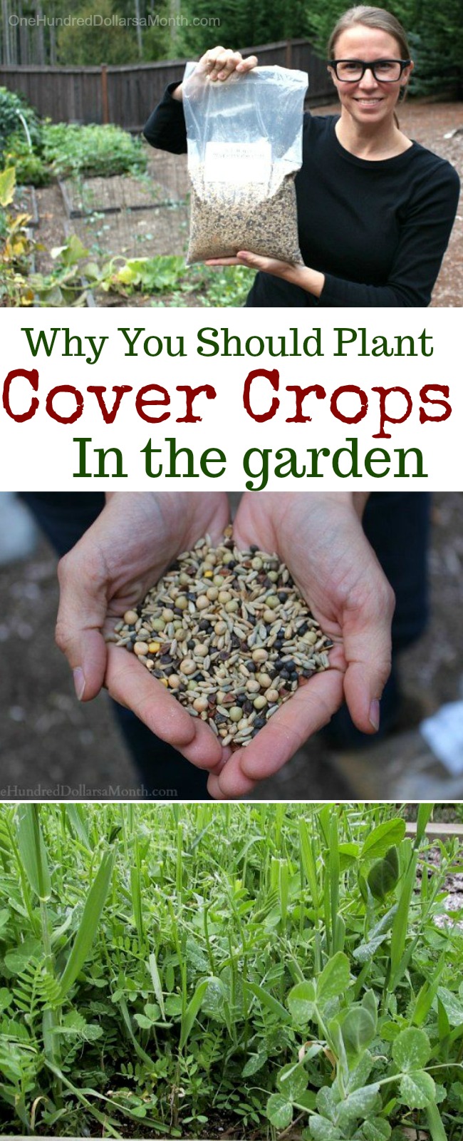 It’s Time to Get Your Cover Crops Planted