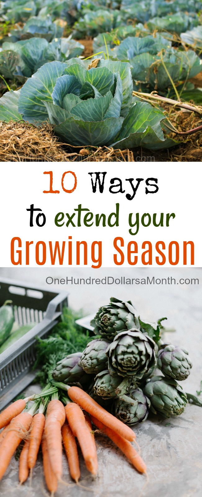 10 Ways to Extend Your Growing Season