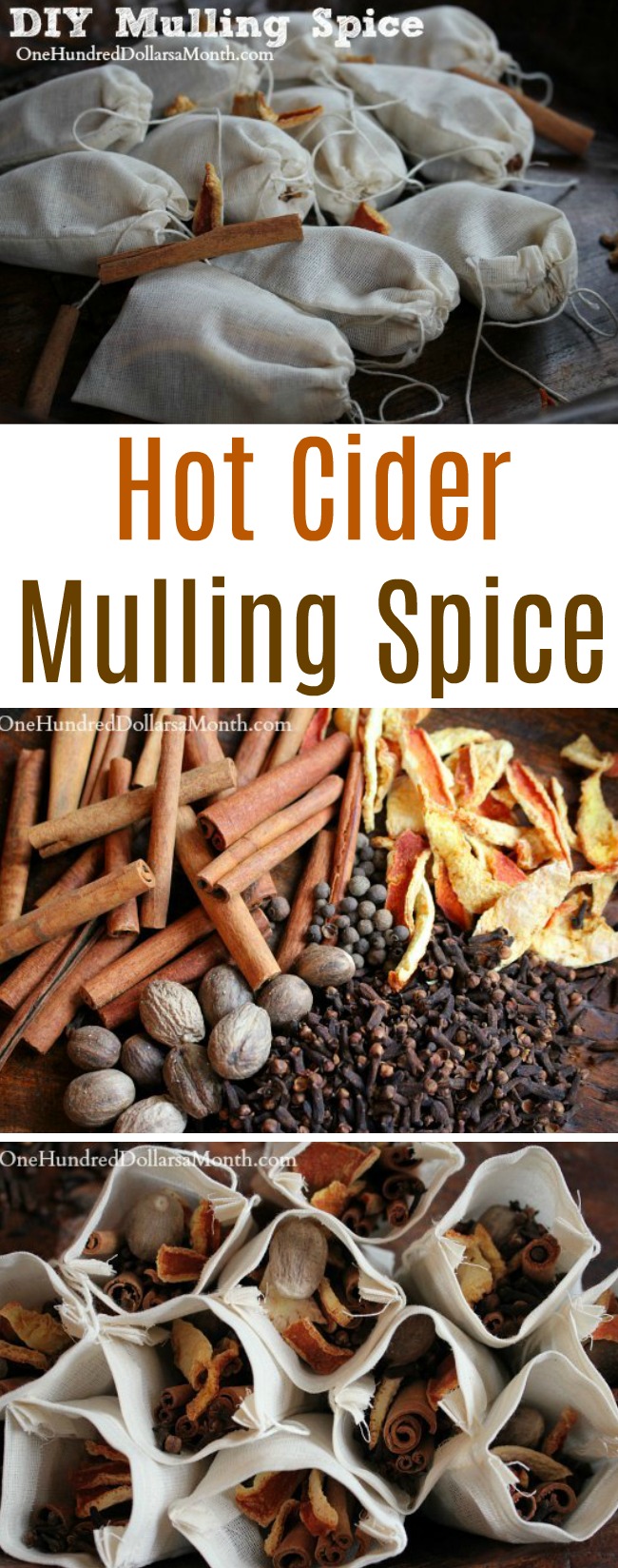 Holiday Gift Idea – Homemade Hot Cider Mulling Spice