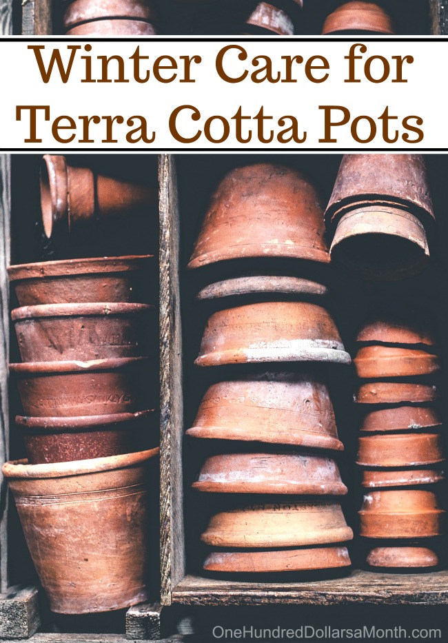 Winter Care for Terra Cotta Pots