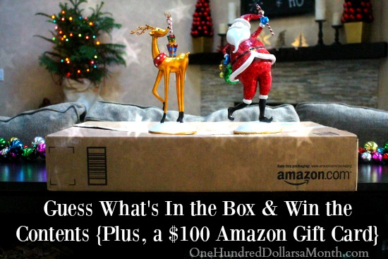 Giveaway: Guess What’s In the Box & Win the Contents {Plus, a $100 Amazon Gift Card}