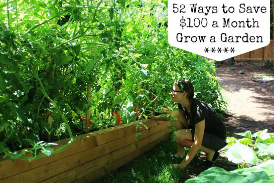 52 Ways to Save $100 a Month | Grow a Garden {Week 19 of 52}