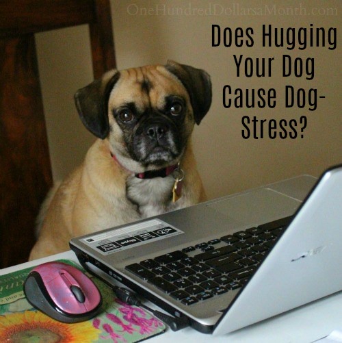 Does Hugging Your Dog Cause Dog-Stress?