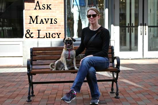 Ask Mavis – Canadian Comedy, Moving Across the Country, Interior Designers and More