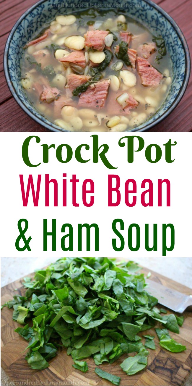Easy Crock Pot White Bean and Ham Soup