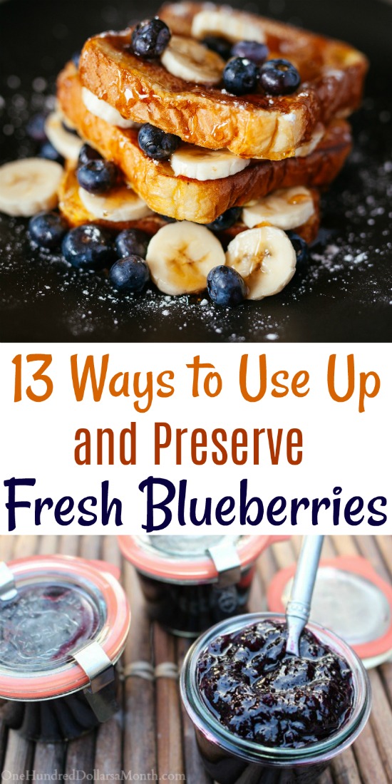 13 Ways to Use Up and Preserve Fresh Blueberries