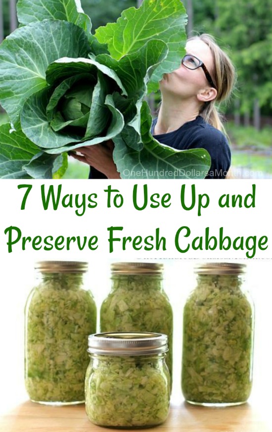 7 Ways to Use Up and Preserve Fresh Cabbage