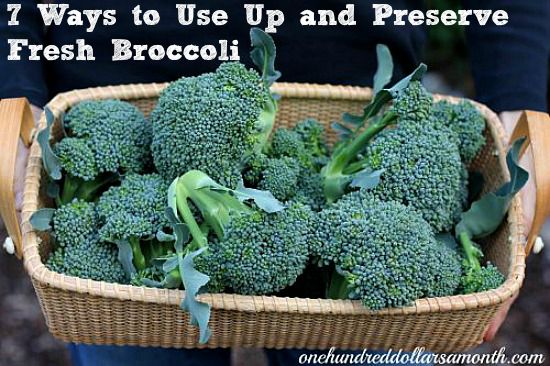 7 Ways to Use Up and Preserve Fresh Broccoli