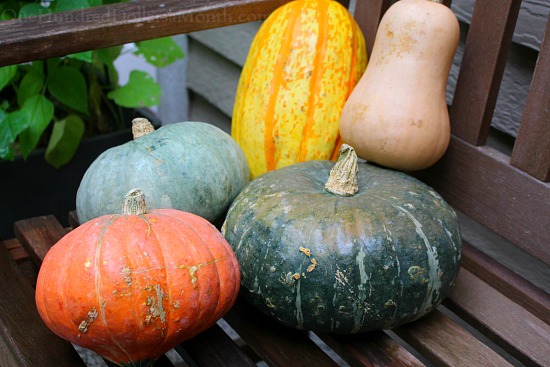 Does Anyone Love Winter Squash as Much as I Do?