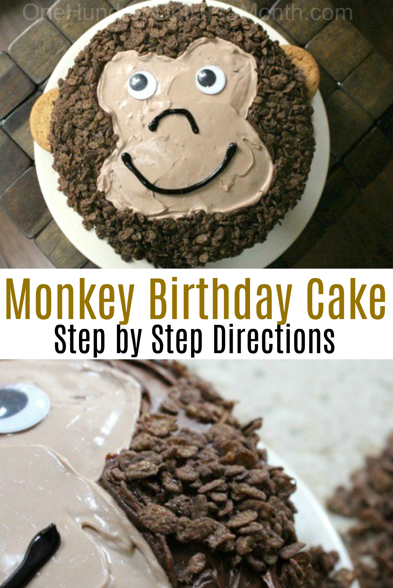 A Birthday Cake for Monkey Boy