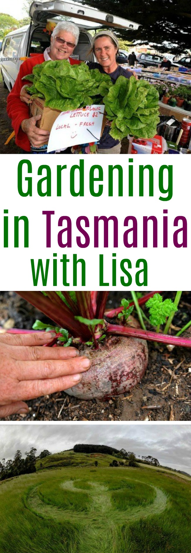 Lisa From Tasmania Shares Her Garden Photos With Us