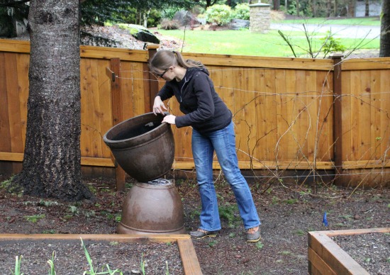 Do You Change Out the Potting Soil in Your Containers Every Year?