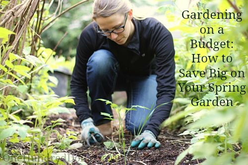 Gardening on a Budget: How to Save Big on Your Spring Garden