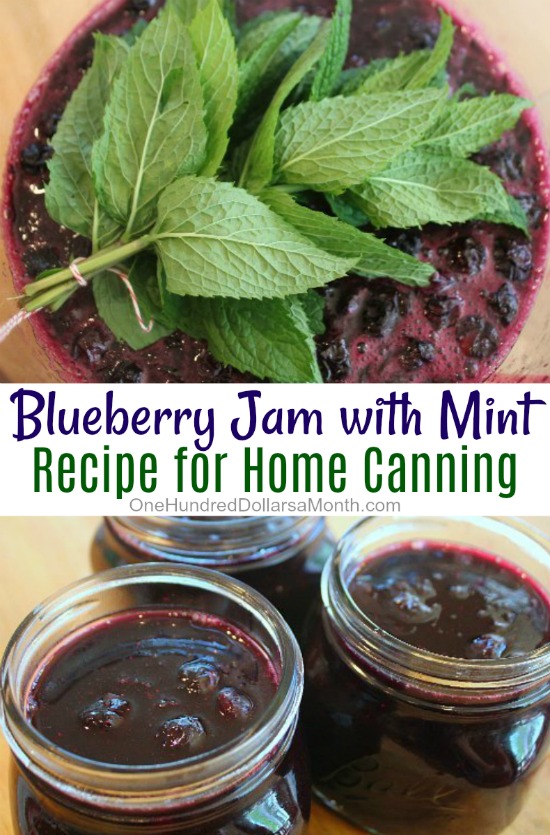 Blueberry Jam with Mint