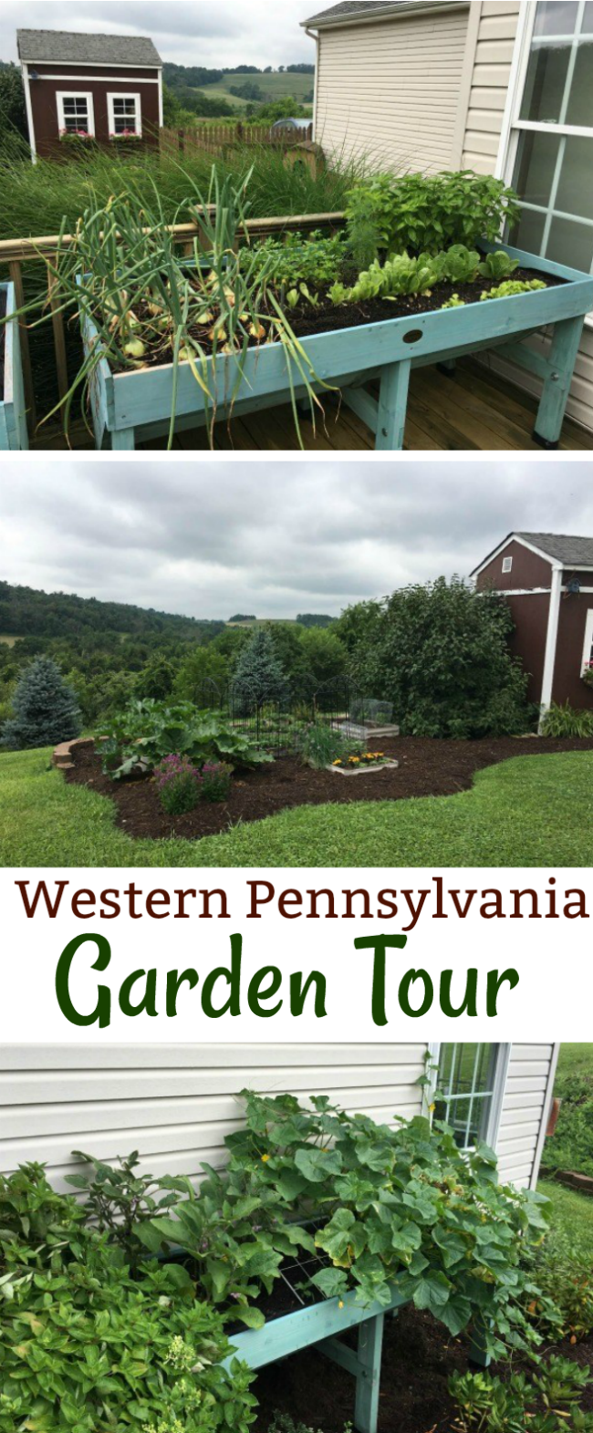 Mavis Mail – Tina From Western Pennsylvania Sends in Her Garden Photos