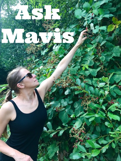 Ask Mavis: International Travel Tips, Lucy’s Harness, Sugar Substitutions in Jam and More!