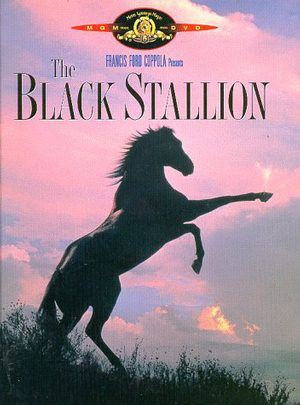 Friday Night at the Movies – The Black Stallion