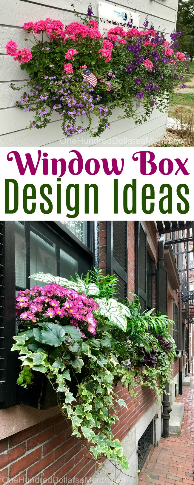 Beautiful Window Box Design Ideas from the Northeast