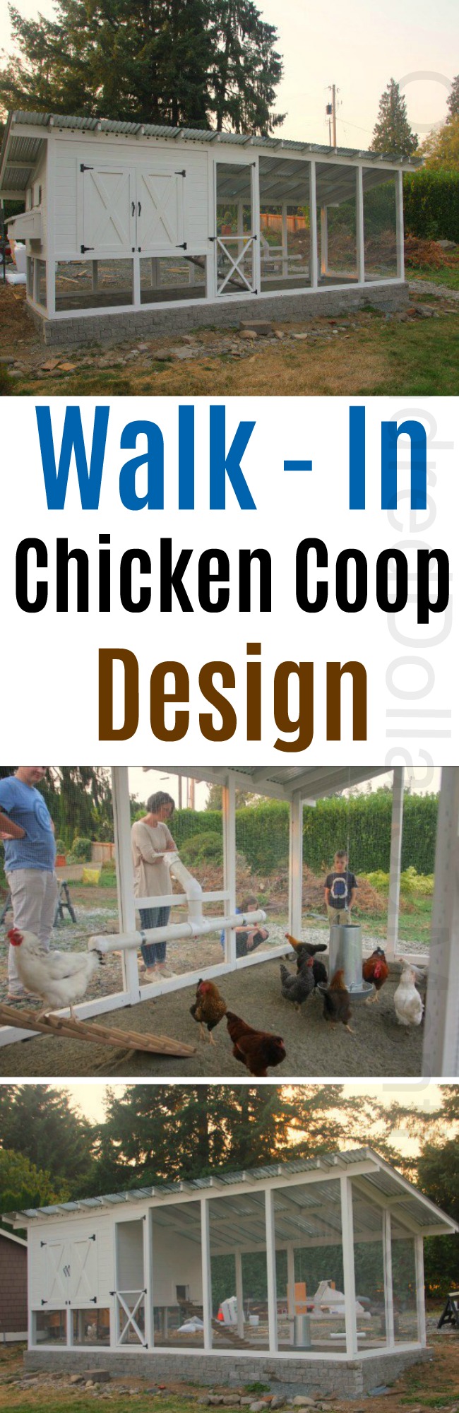 Mavis Mail – Mama Cook From Snohomish Sends in Her Walk in Chicken Coop Photos
