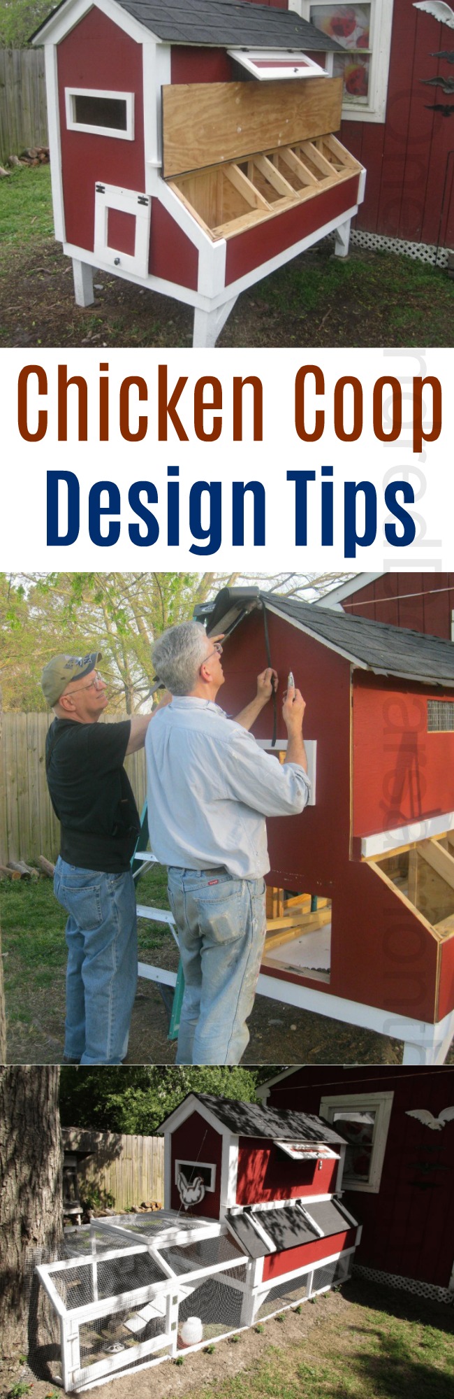 Mavis Mail – Bruce From Norfolk, VA Sends in His Chicken Coop Photos and Lot’s of Building Tips