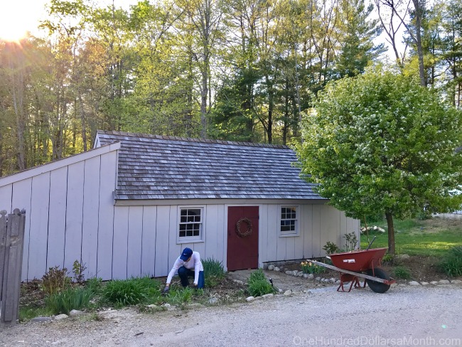 I Need Your Help! Should We Turn Our Potting/Wood Shed into a Chicken Coop?