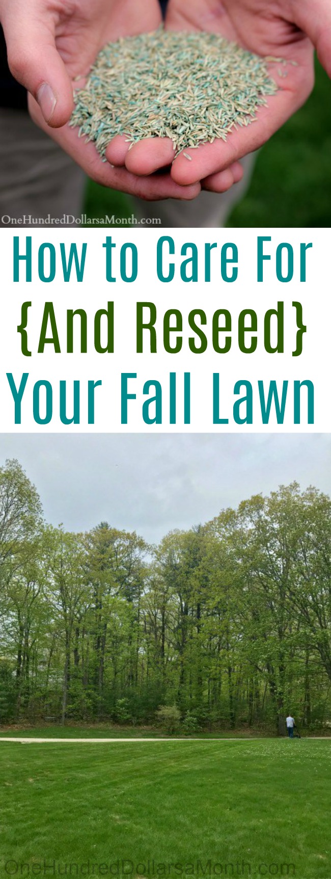 How to Care For {And Reseed} Your Fall Lawn
