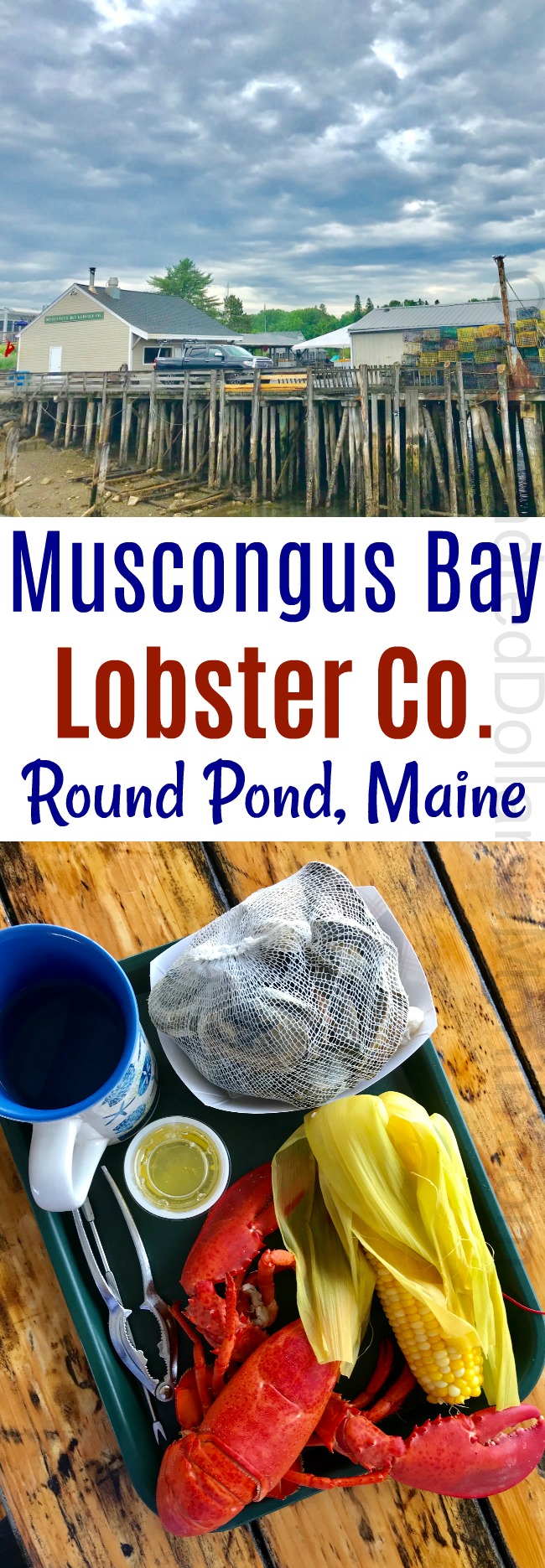 Muscongus Bay Lobster Company – Round Pond, ME