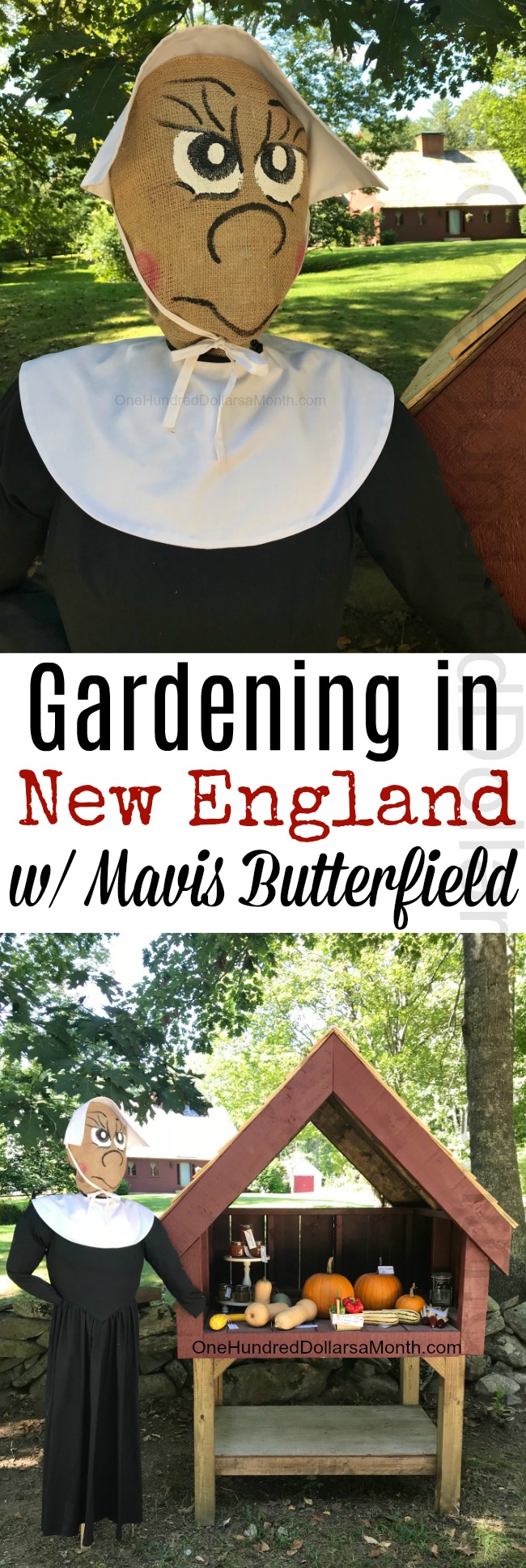 Gardening in New England – New Garden Stand Photos and a Garden Tally Update!